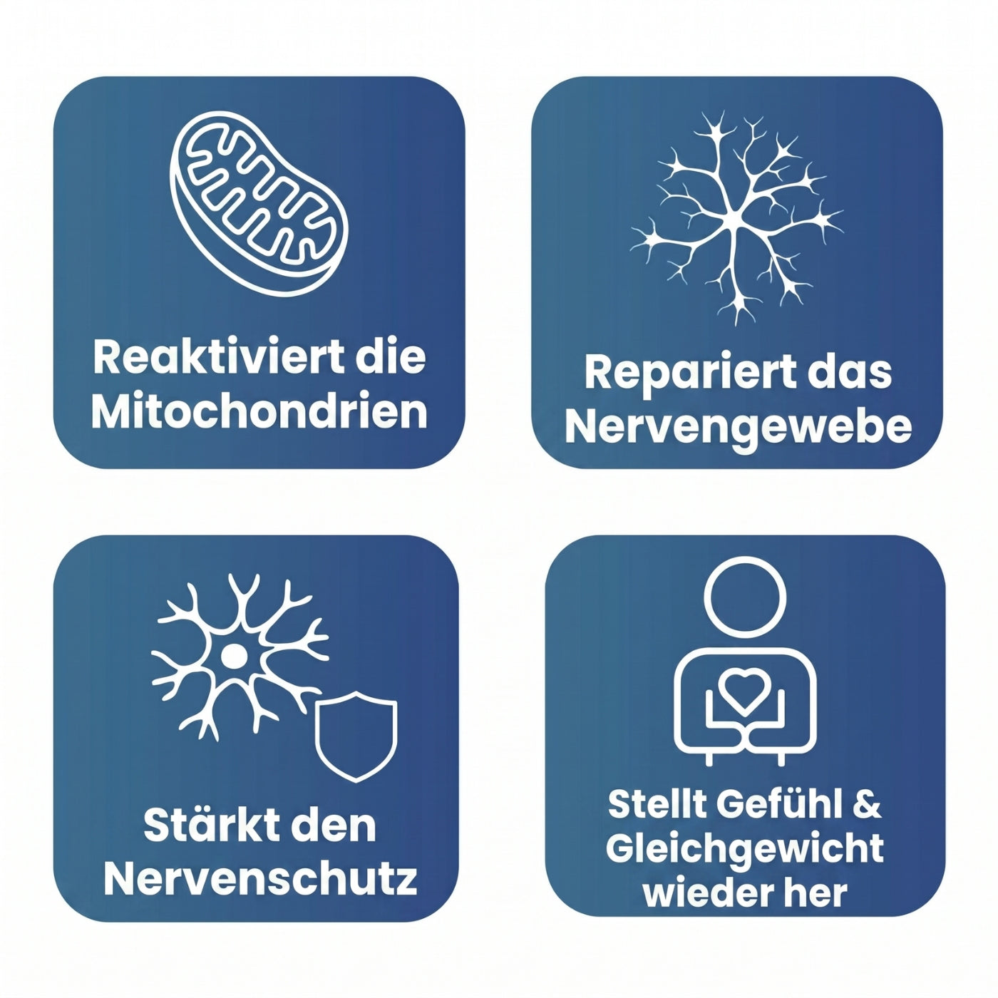 NerveRepair™ | 600mg R-ALA bei Neuropathie