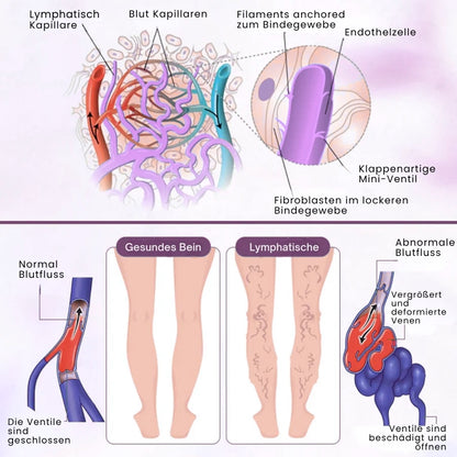 LymphFlow™ | 6-in-1 Lymphkomplex