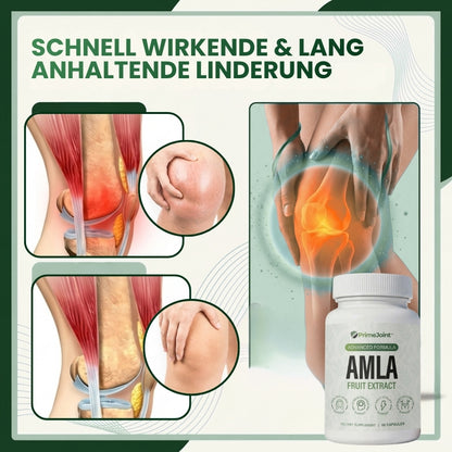 PrimeJoint™ | Amla Superfruit Kapseln