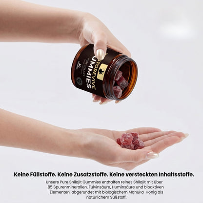 TestoRevive™ | Himalayan Shilajit T-Booster Gummies