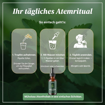 LungFree™ | Königskerzen- und Chlorophyll-Lösung zur Lungenreinigung