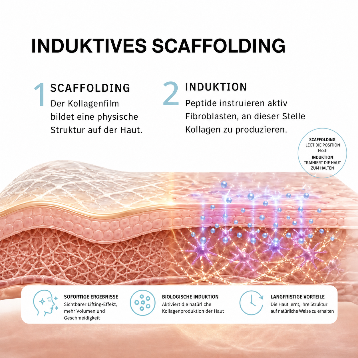 CollaBoost | Kollagen-Serum mit Nanotechnologie