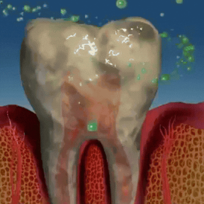 SmileGuard™ |  Oral Defense Chews