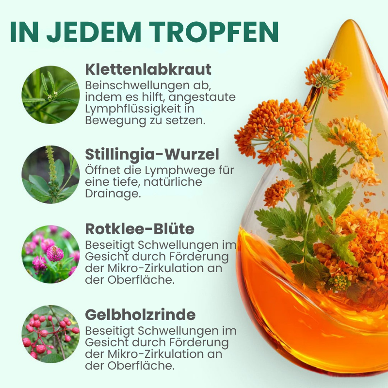 FlowPlus™ Lymphdrainage-Tropfen