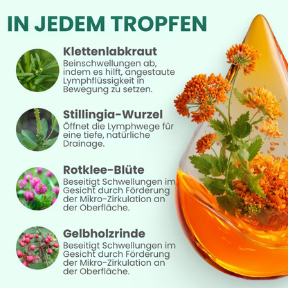 FlowPlus™ Lymphdrainage-Tropfen